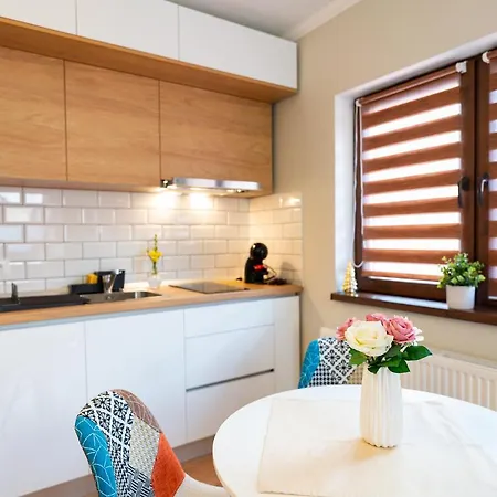 Hanna - Belle In The Heart Of The Old Town Apartment Brasov